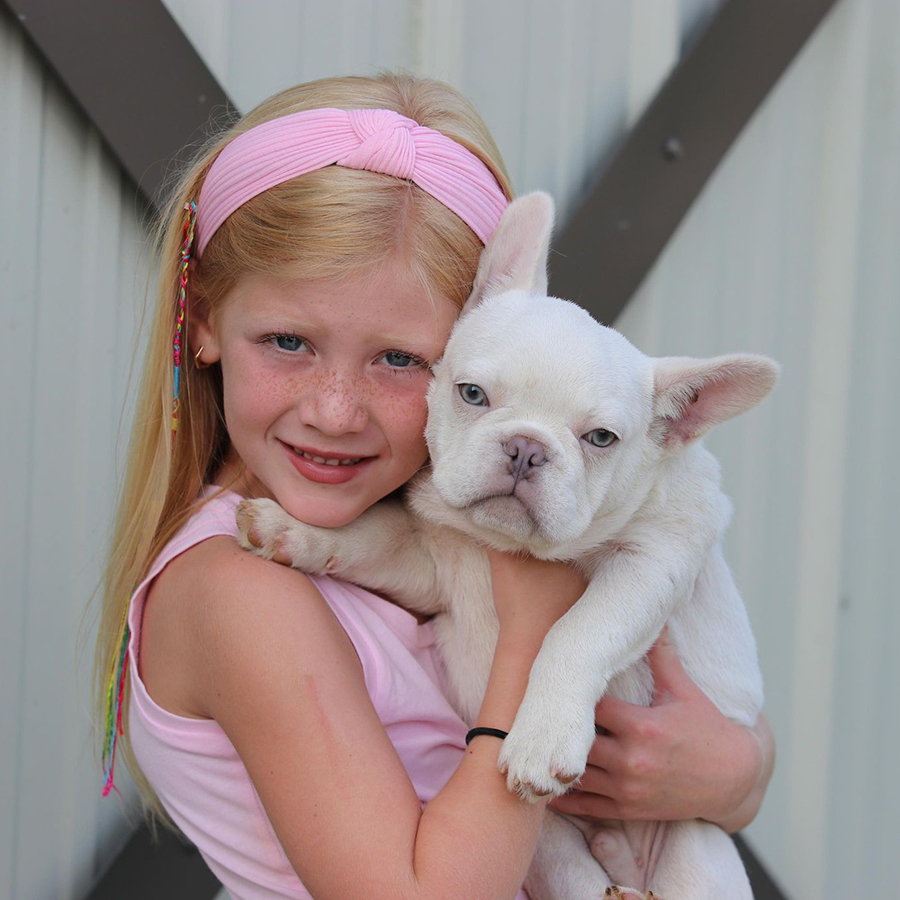 Male A Princess X Ganesh Breeder of French Bulldogs, blue